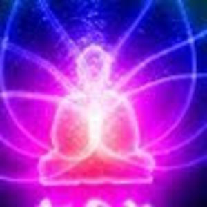 Meet your Posher, Maja